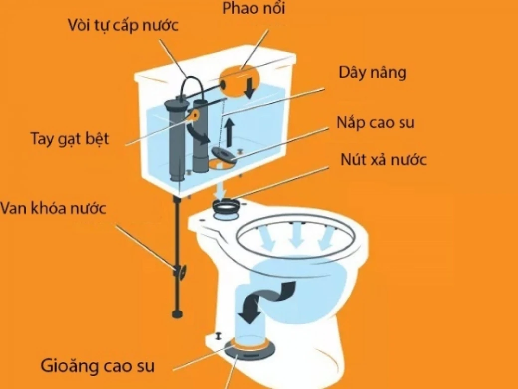 cau tao bon cau inax