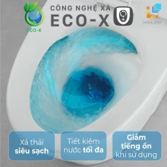 cong nge eco x