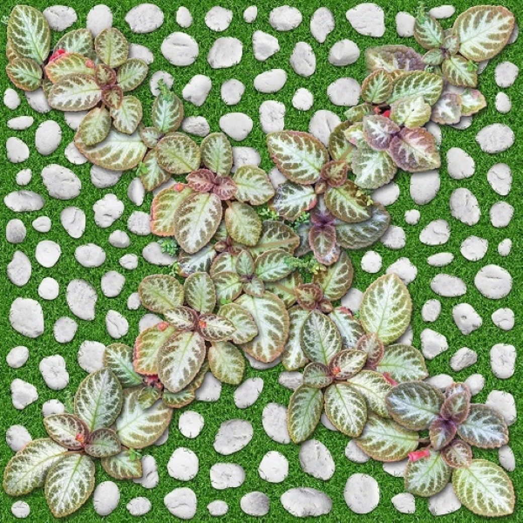 gach lat san vuon granite dong tam 4040GREENERY004