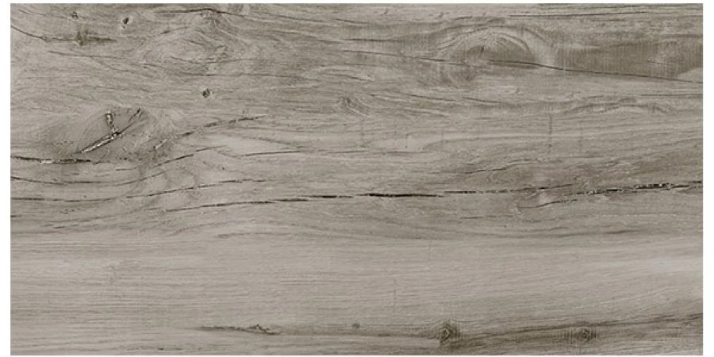 gach eurotile 450x900 moc lan mol i02 gia go mau xam 900x450