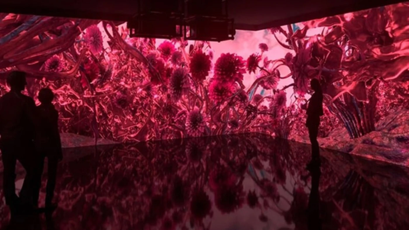 magenta mau sac vuot len boi canh day thach thuc