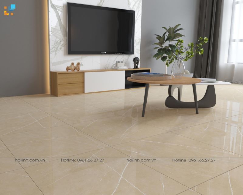 phong mau gach an do 60x60 csi66119