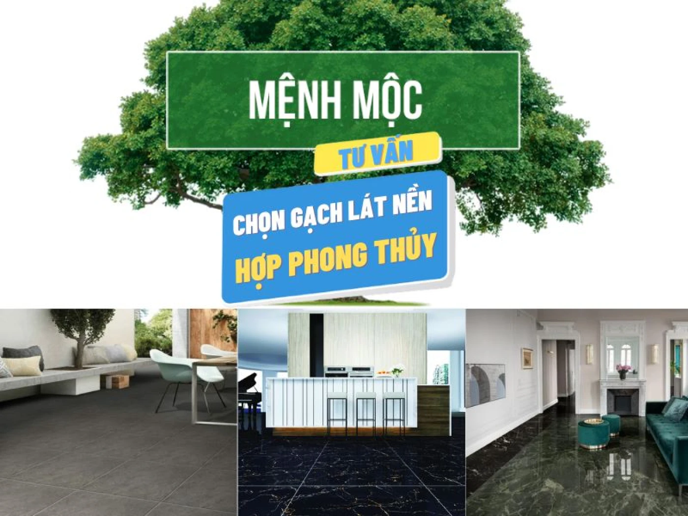 chon gach lat nen op tuong cho nguoi menh moc