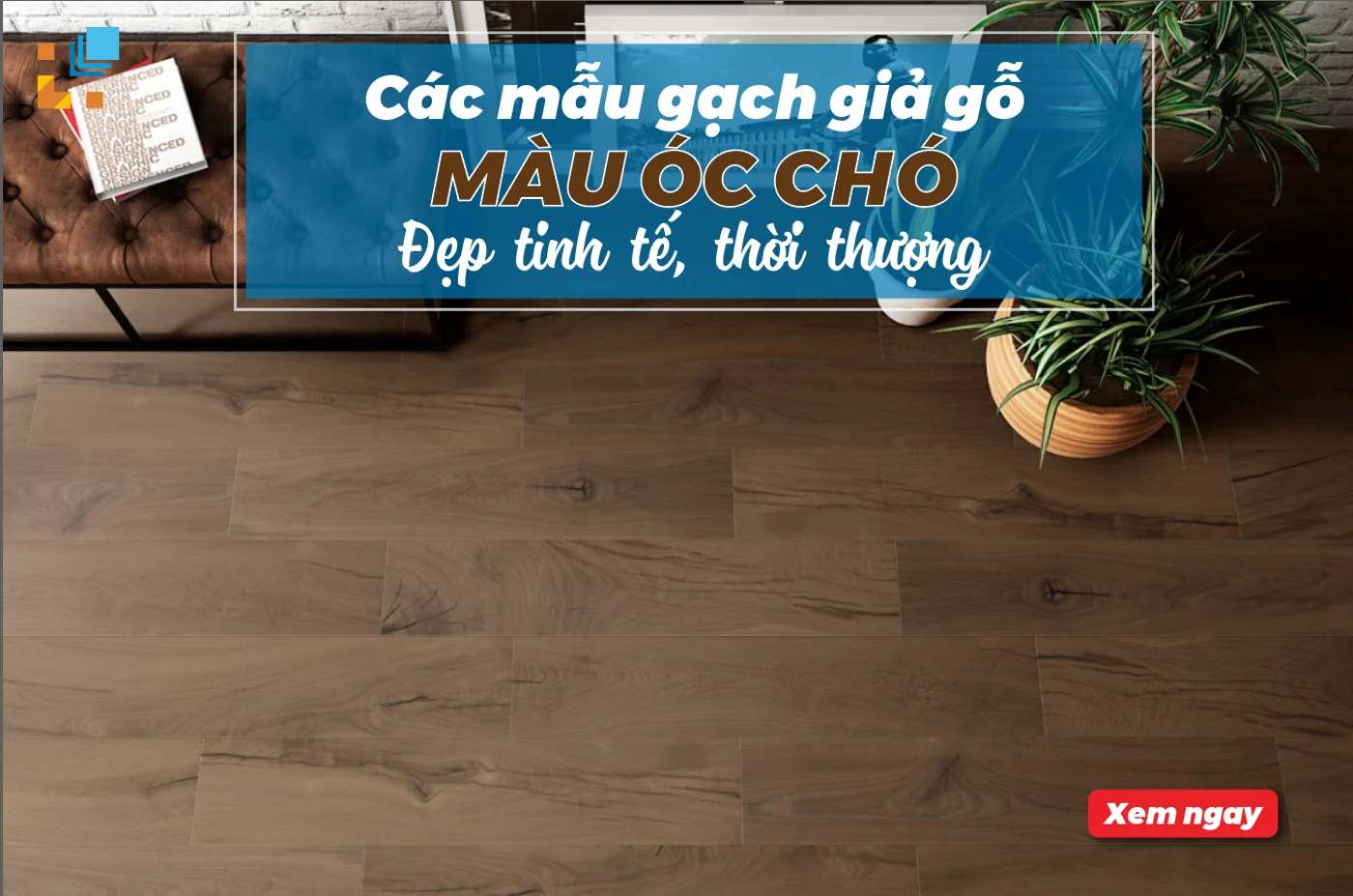 gach gia go mau oc cho dep tinh te