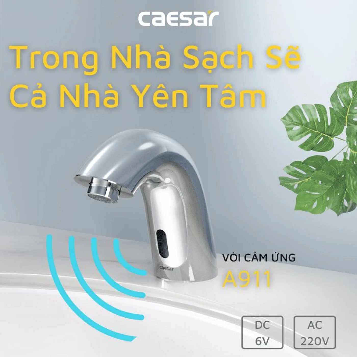 voi chau am cung caesar