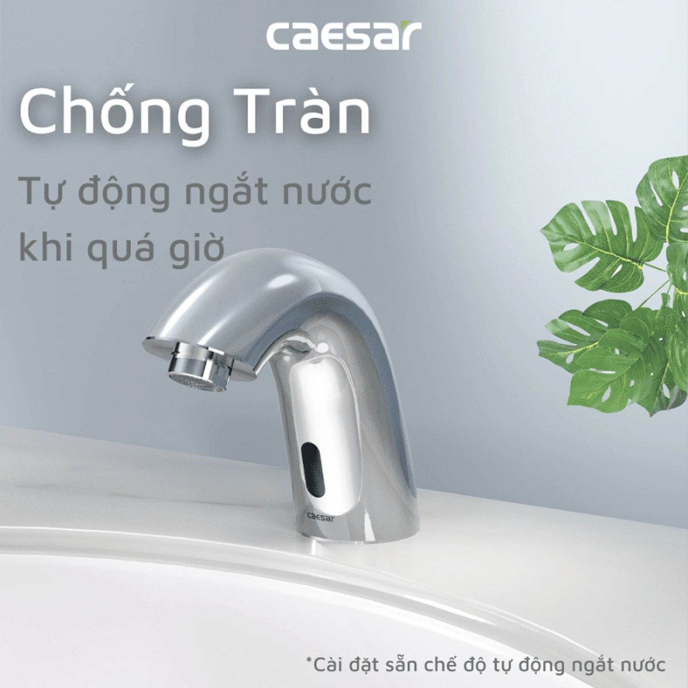 voi chau cam ung giup ngan ngua vi khuan