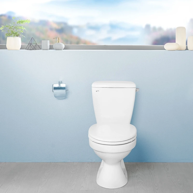 Ảnh Bồn cầu 2 khối Inax C-117VA 3