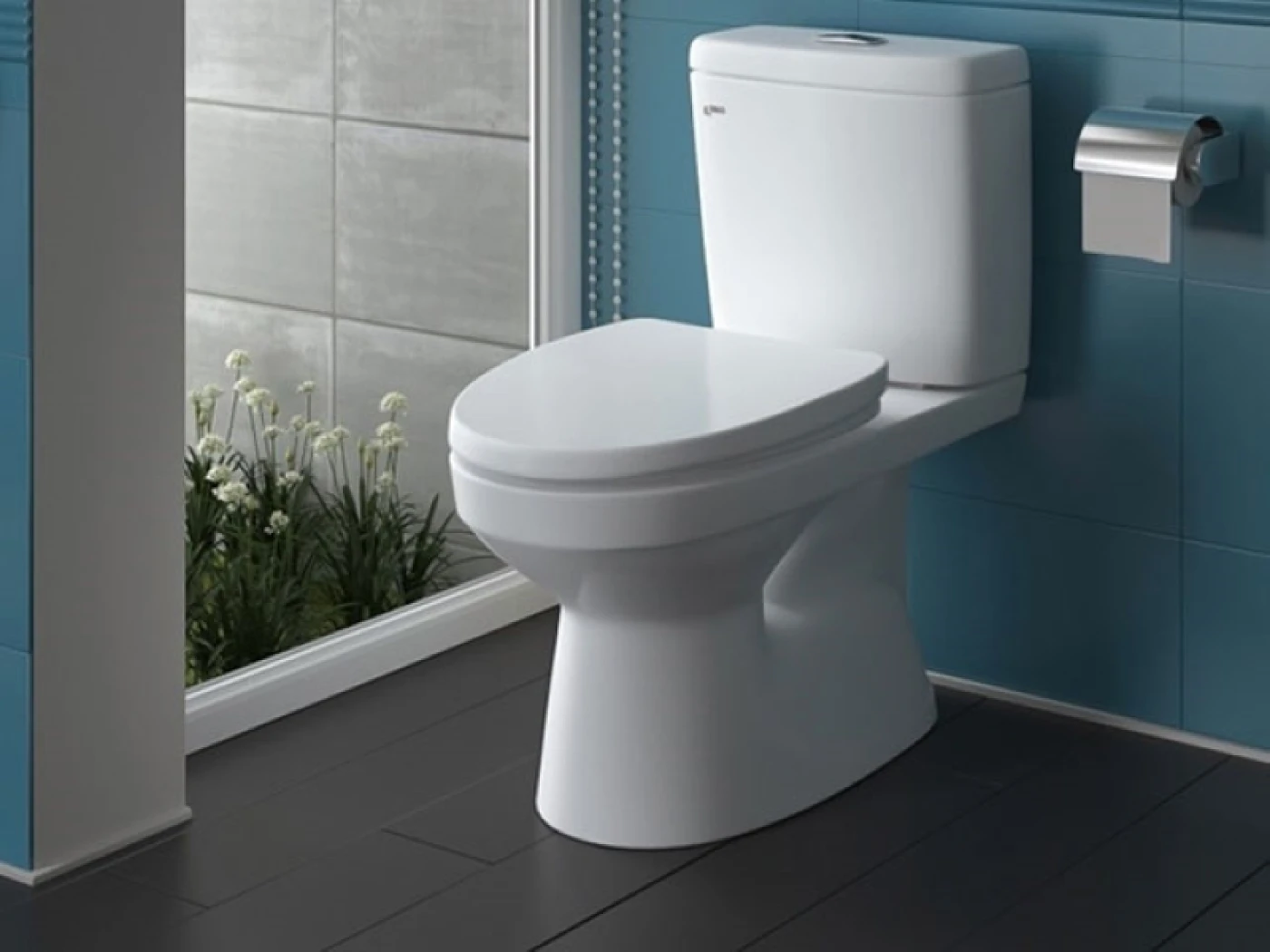 bon cau 1567502670 235 width640height480