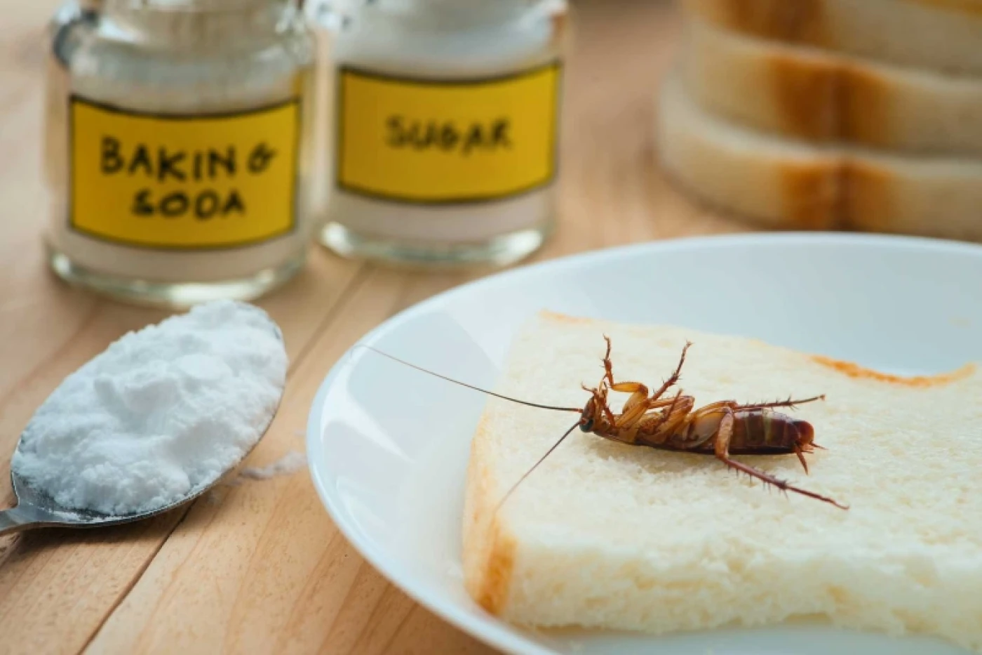 cach diet gian bang badking soda va duong