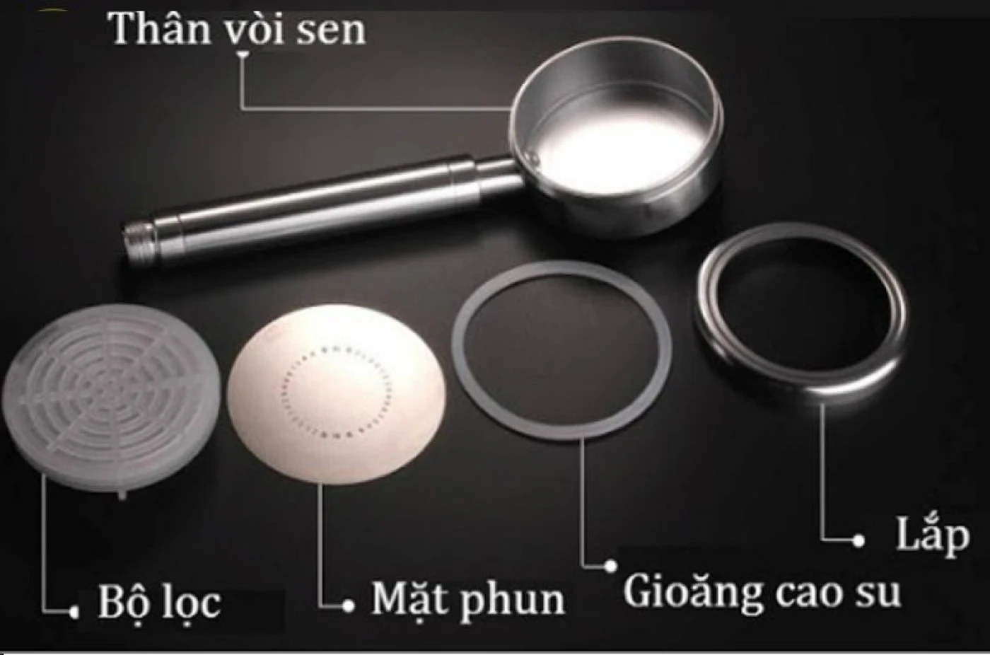 cau tao voi sen tang ap