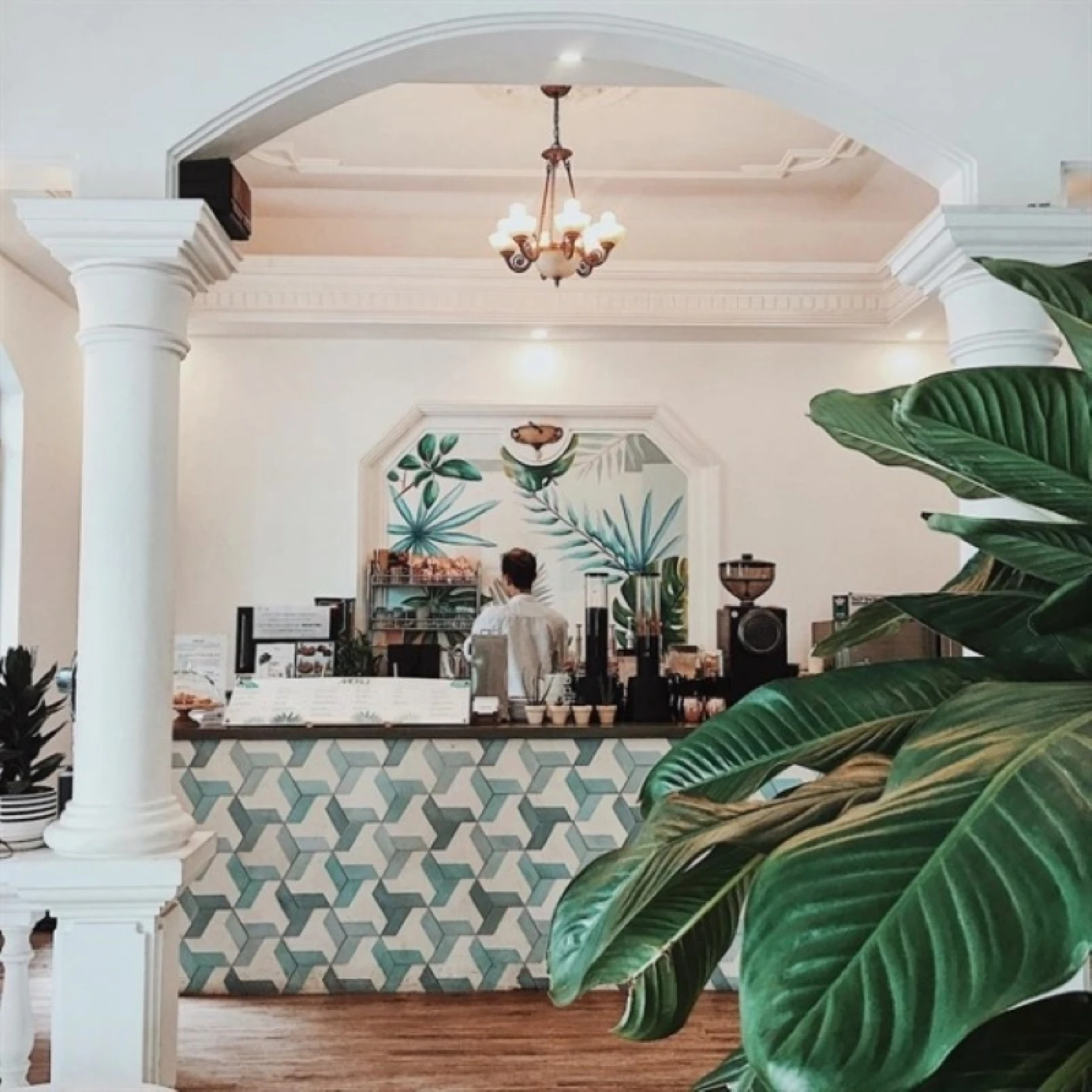 thiet ke quan cafe phong cach tropical