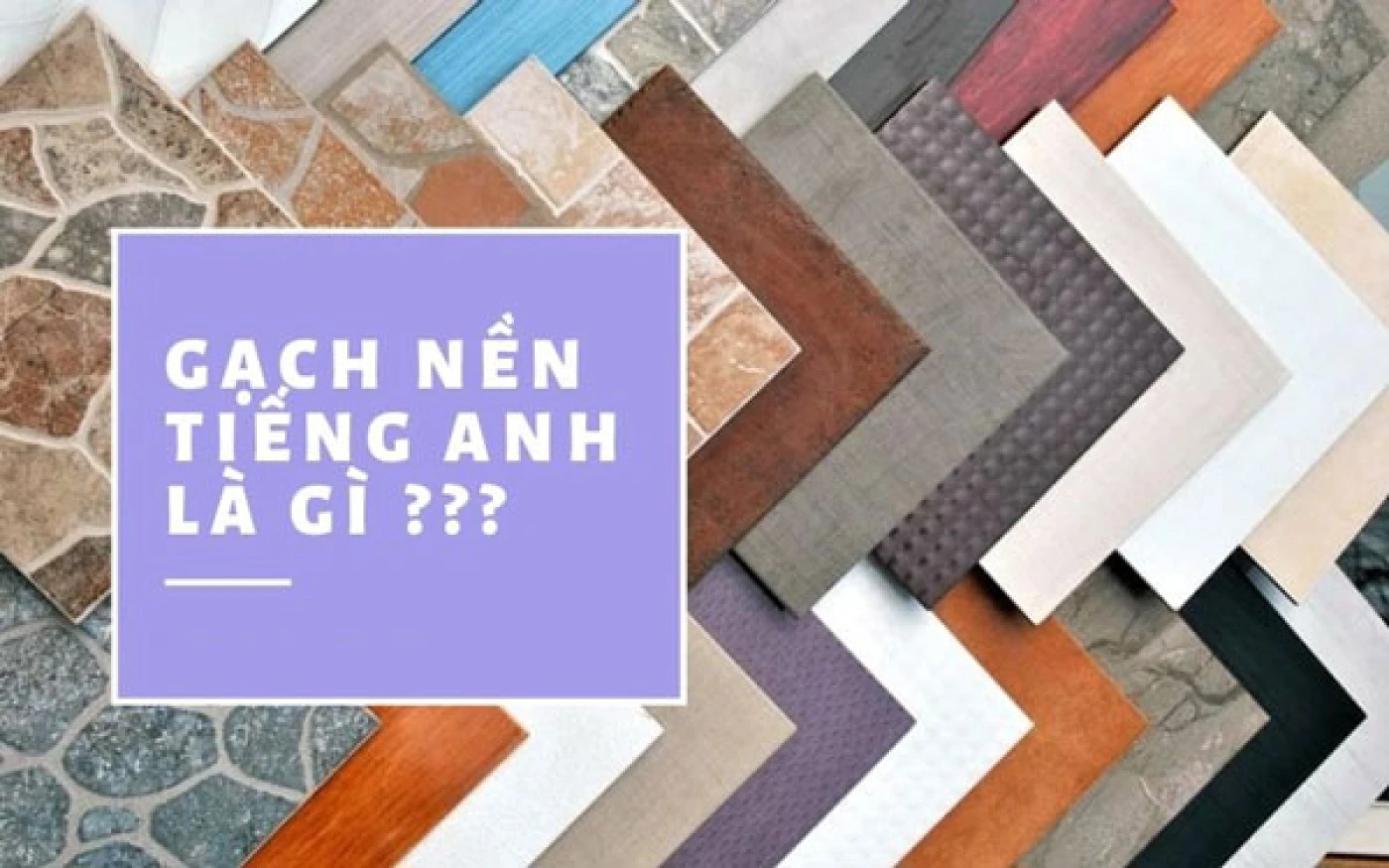 gach lat nen tieng anh la gi 1