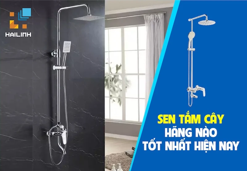 sen tam cay hang nao tot nhat hien nay(1)