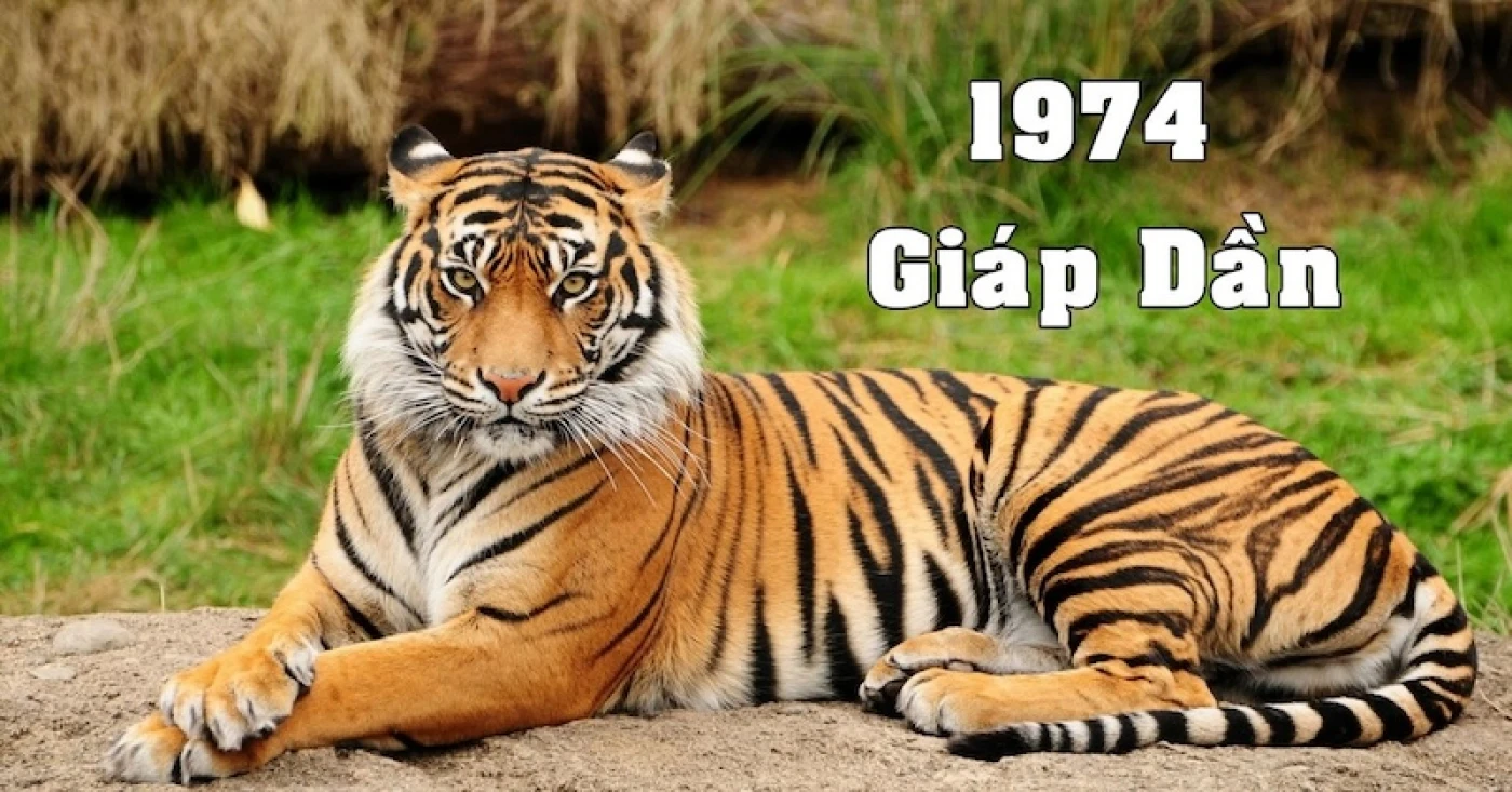 Sinh nam 1974 la tuoi gi