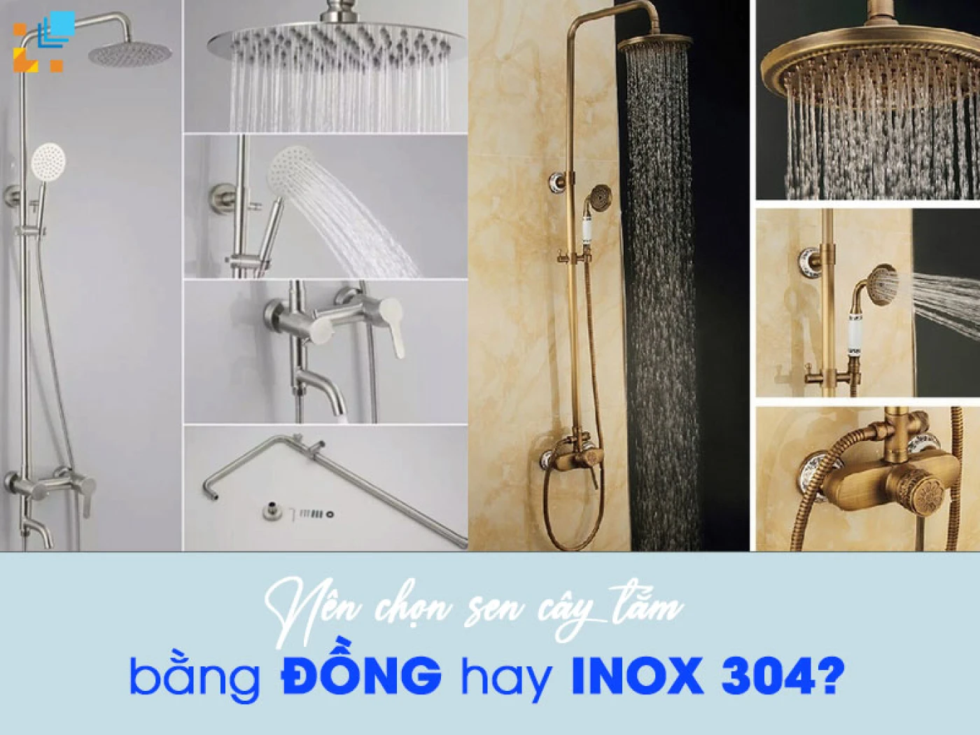 nen chon sen dong hay sen inox