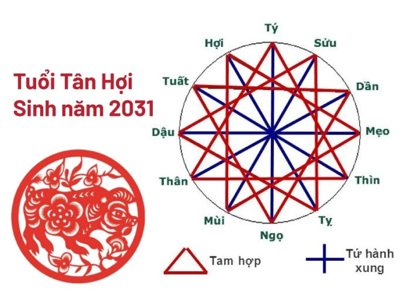 nam 2031 la nam con lon tuoi hoi