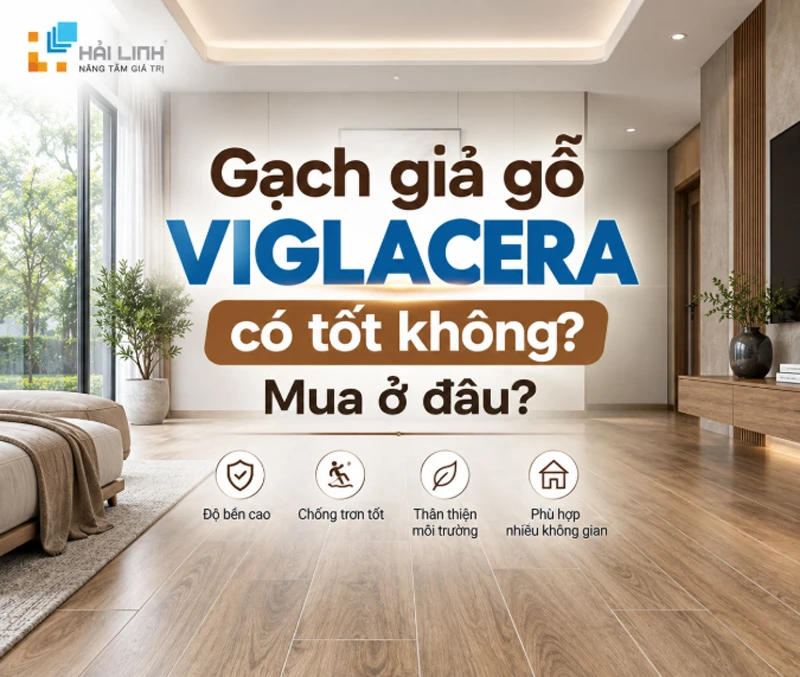 gach gia go viglacera