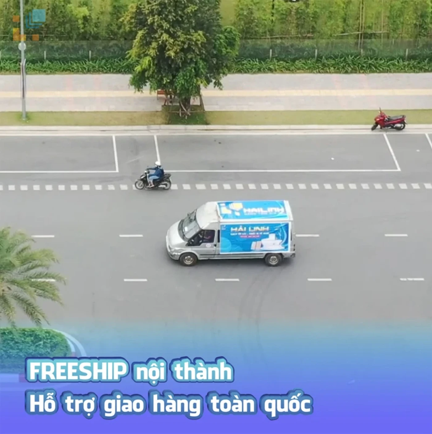 chau rua toto chan dai