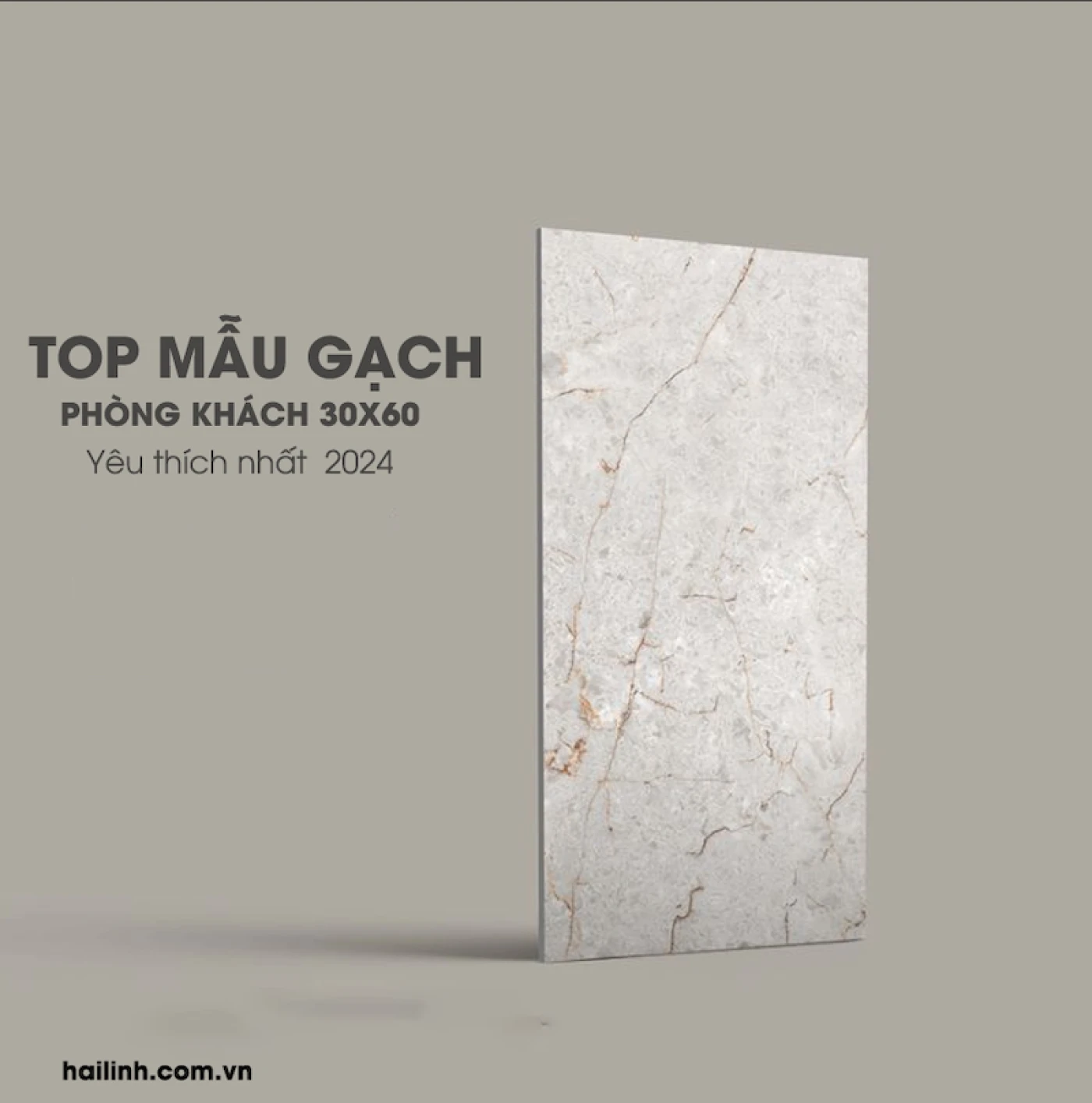 mau gach lat 30x60