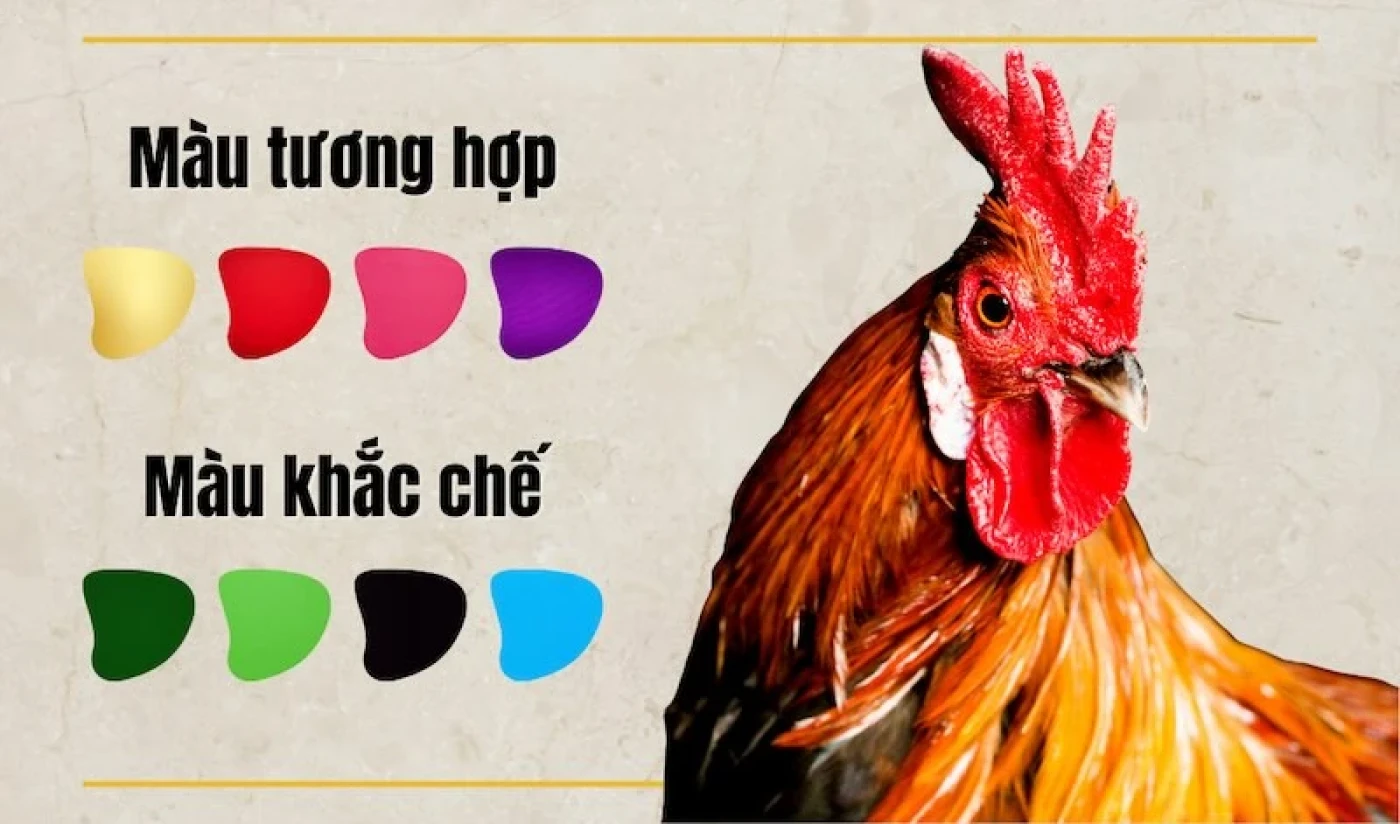 sinh con nam 2029 tuoi gi menh gi