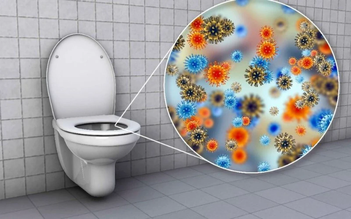 vi khuan luon ton tai trong bon cau