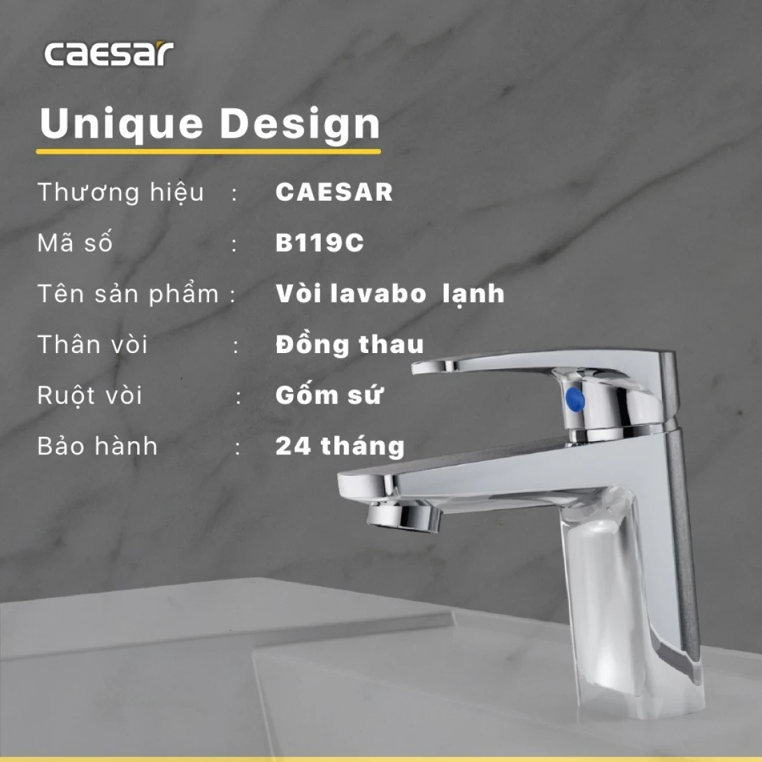 Ảnh Vòi chậu 1 đường lạnh Caesar B119C 2