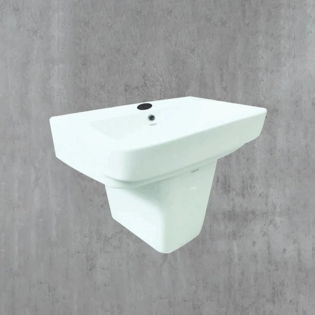 chau-rua-treo-tuong-densta-ds-606-tb