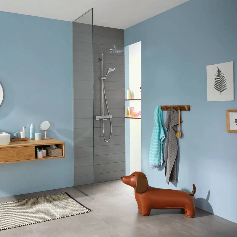 Ảnh Sen tắm cây Hansgrohe 27630000 5